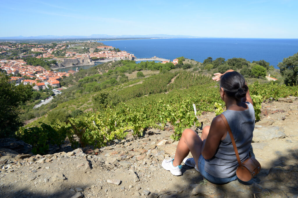Collioure 